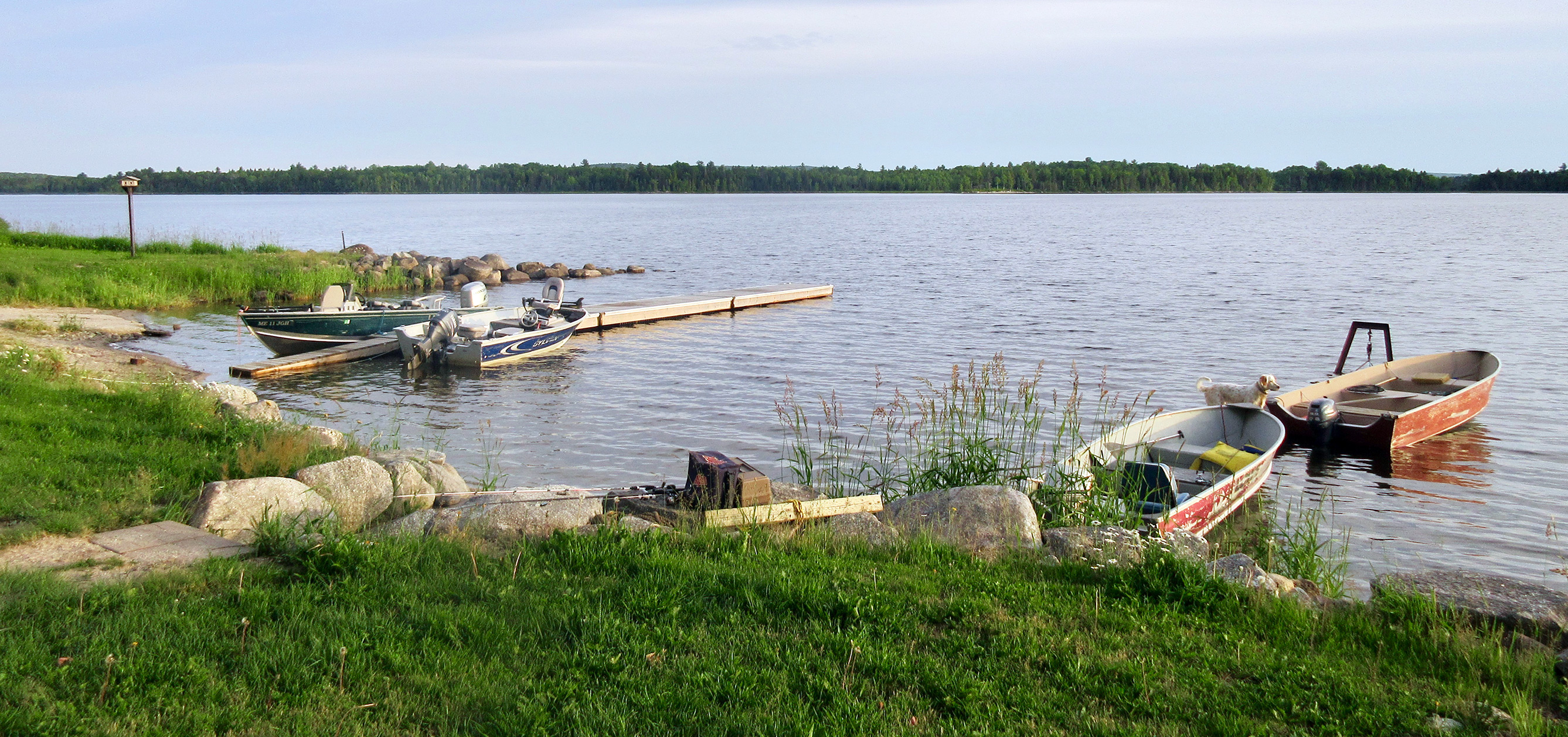 Forfaits de pêche à l'achigan à petite bouche — Palfrey Lake Lodge – Palfrey Lake Lodge